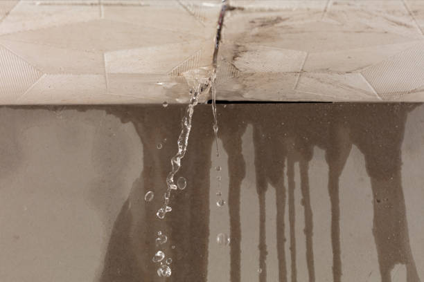 Professional Sewage Cleanup technician working in Franklin, CA